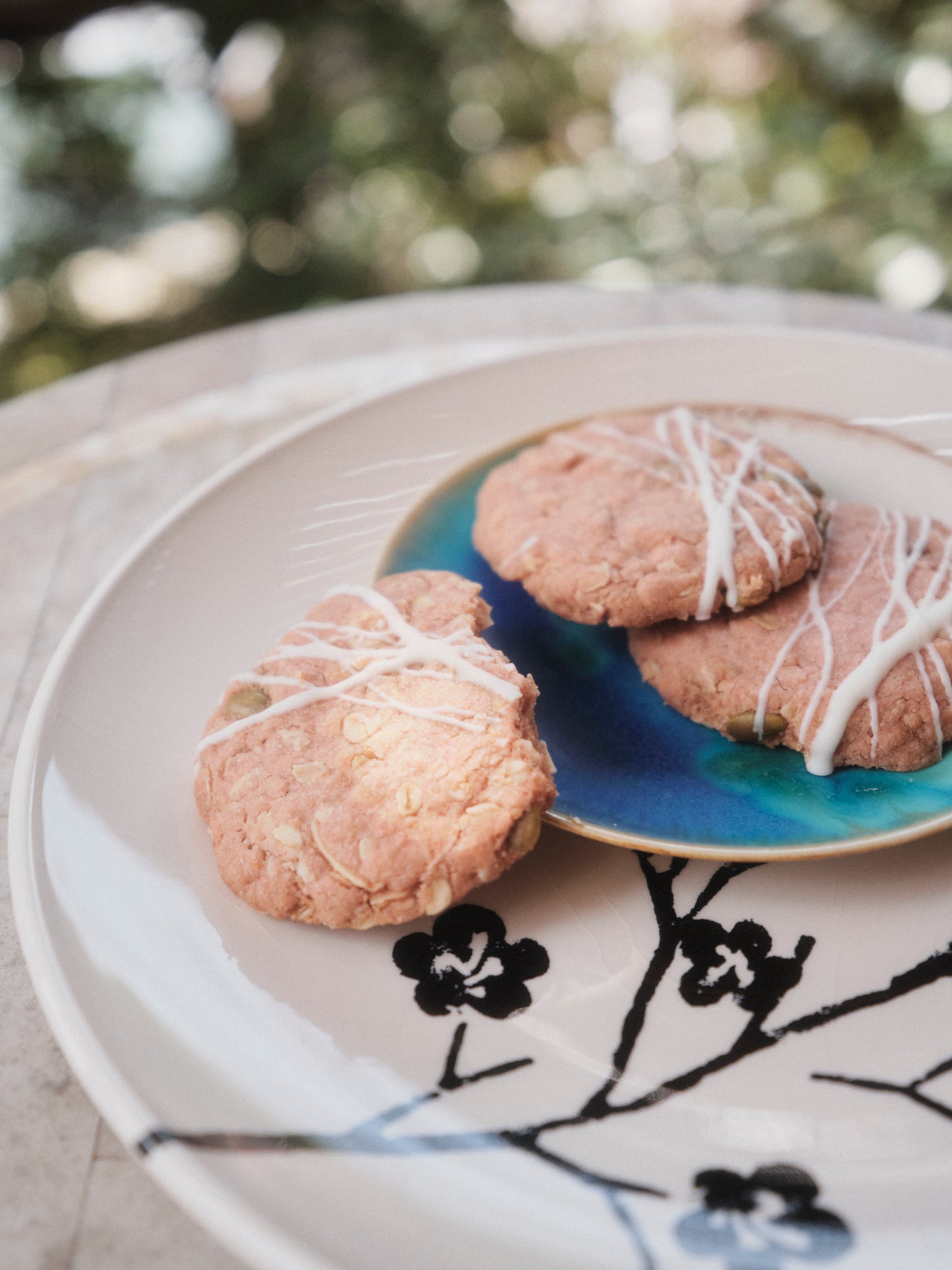 COOKIE THE FORTUNATE CBN500mg COOKIE