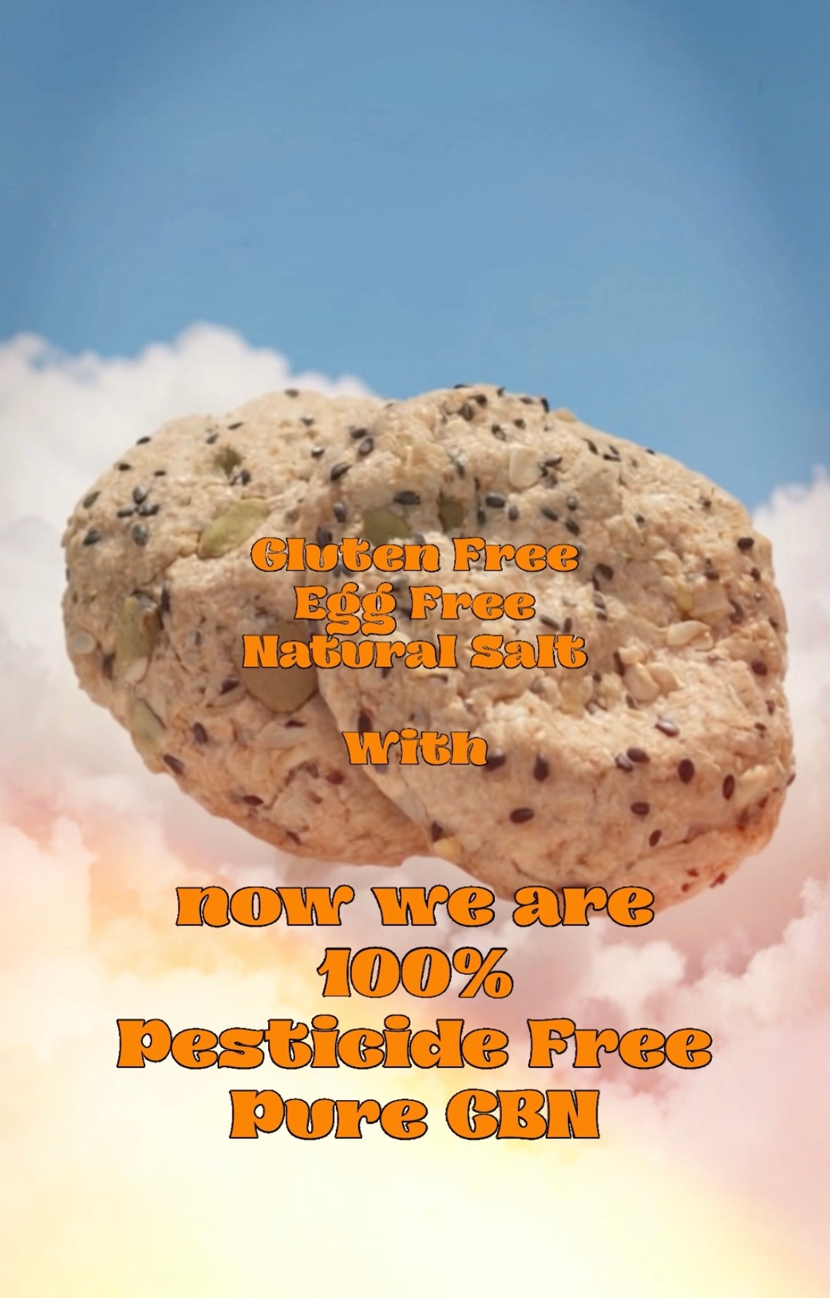 COOKIE THE FORTUNATE SALT CBN500mg COOKIE