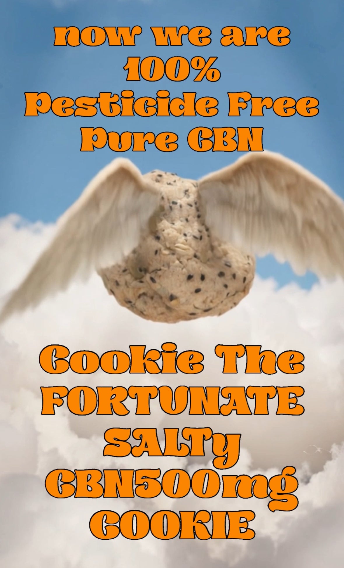 COOKIE THE FORTUNATE SALT CBN500mg COOKIE